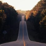 asphalt road between trees